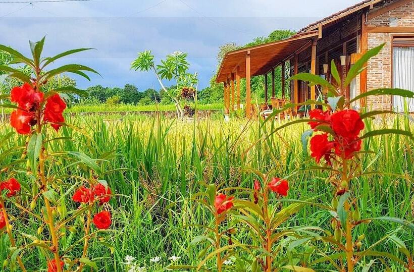 פנסיון Alamanda Family Villas & Pool