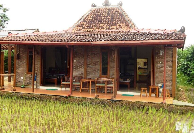 פנסיון Alamanda Family Villas & Pool