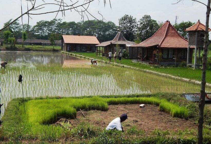 פנסיון Alamanda Family Villas & Pool