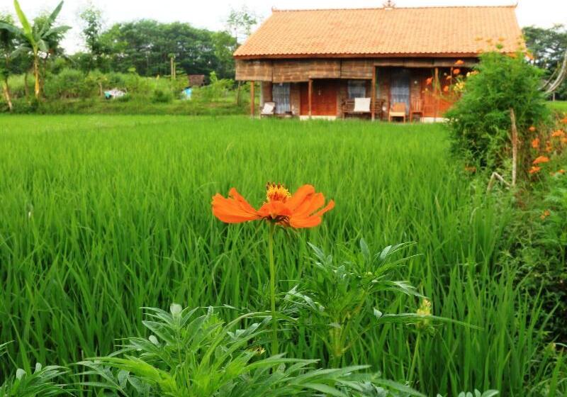 פנסיון Alamanda Family Villas & Pool