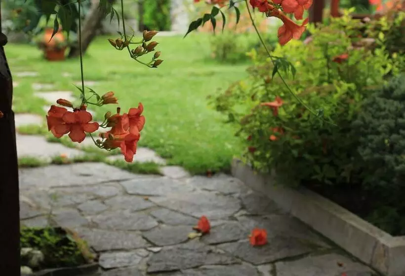 ペンション Iliikova House