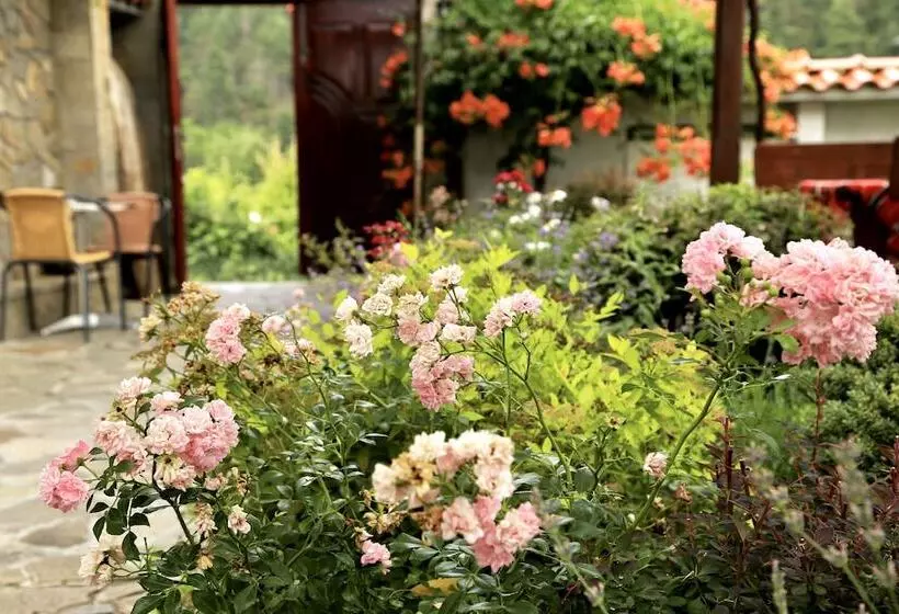 ペンション Iliikova House