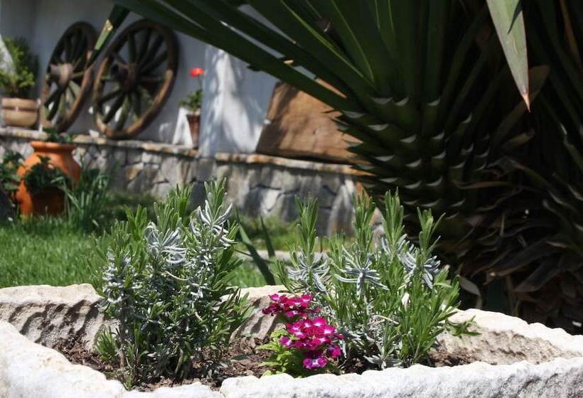 פנסיון Iliikova House