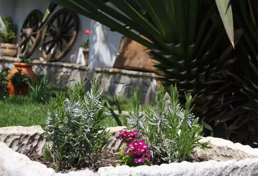 ペンション Iliikova House