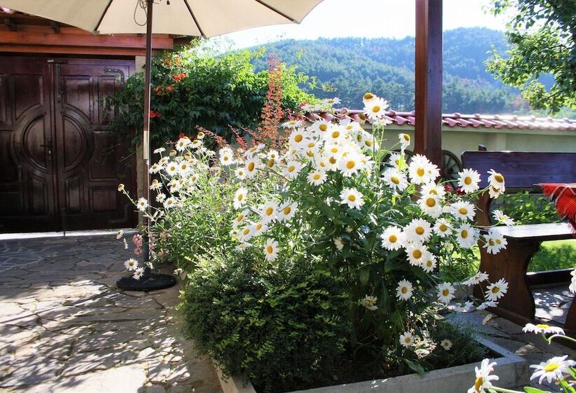 פנסיון Iliikova House