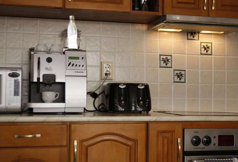 פנסיון Iliikova House