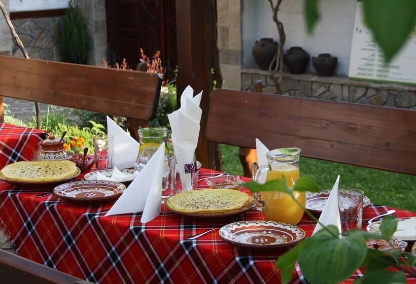 פנסיון Iliikova House