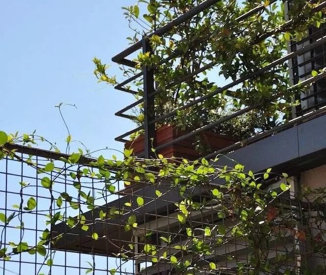 Biophilia Luxury Lofts