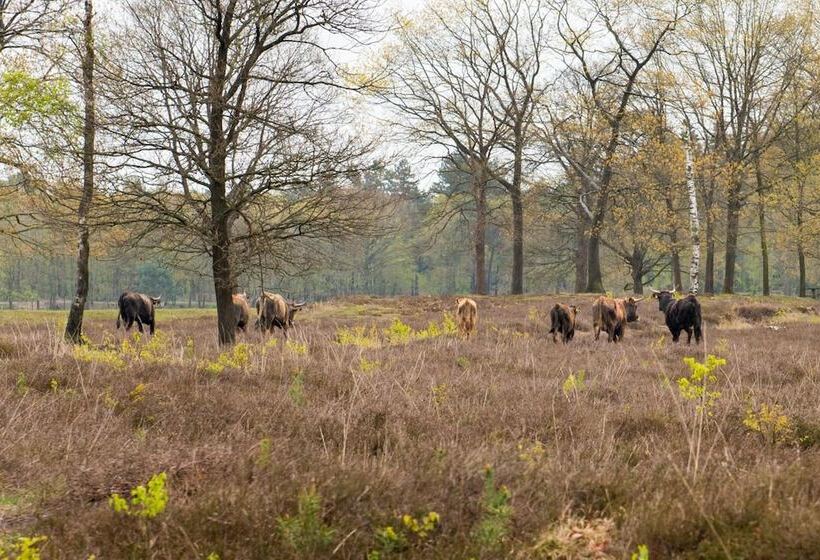 Fletcher Hotel   Restaurant Oss