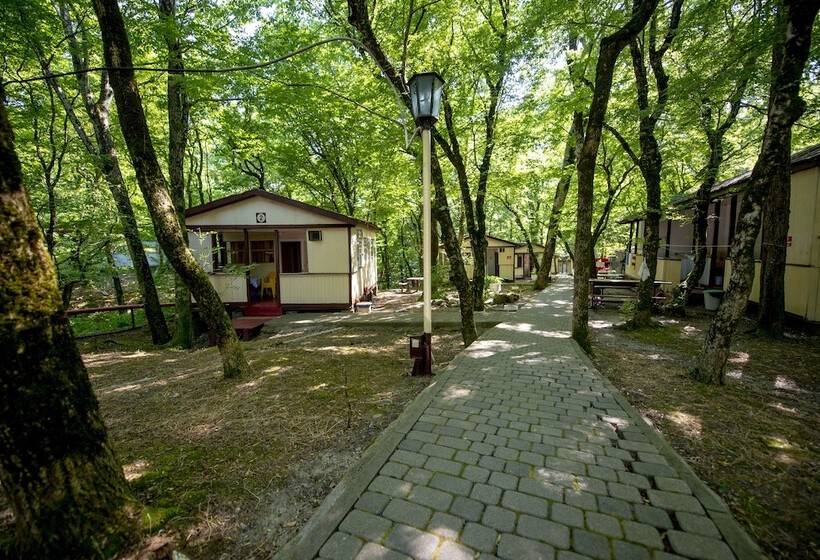 هتل Recreation Center Viktoria