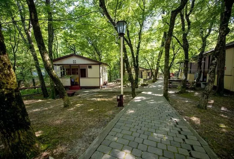 هتل Recreation Center Viktoria