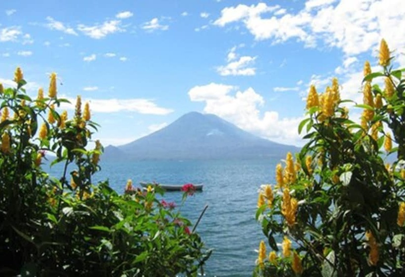La Iguana Perdida Hostel