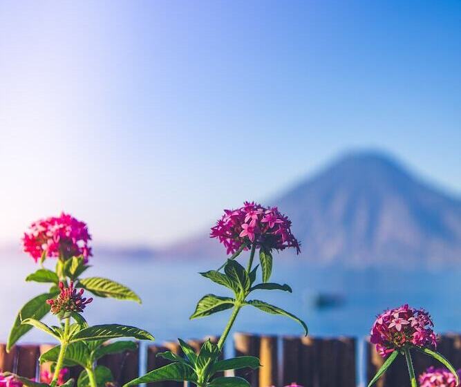 La Iguana Perdida Hostel