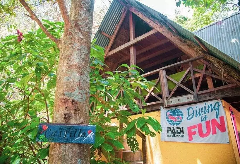 La Iguana Perdida   Hostel