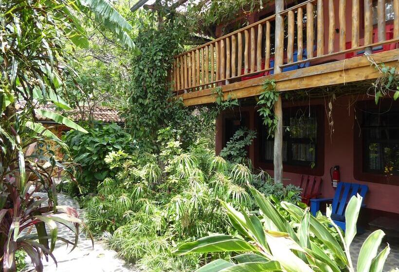 La Iguana Perdida Hostel