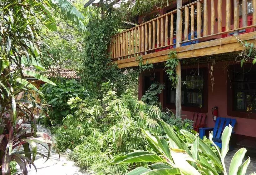 La Iguana Perdida   Hostel