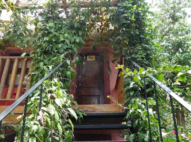 La Iguana Perdida Hostel