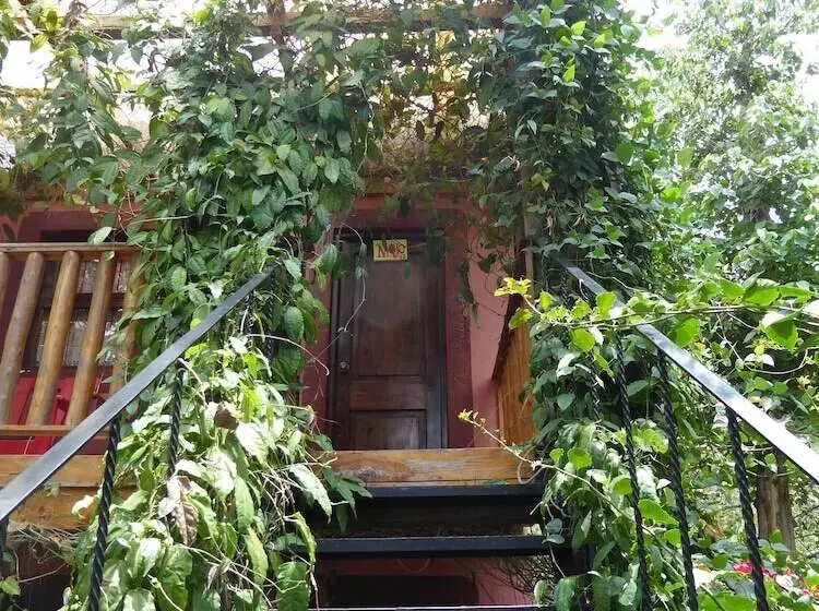 La Iguana Perdida   Hostel