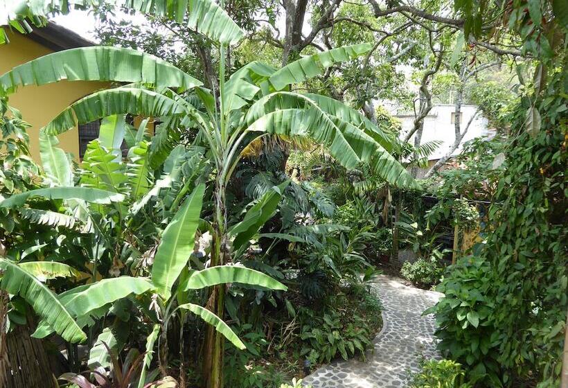 La Iguana Perdida Hostel