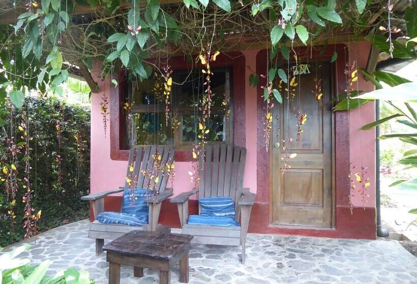 La Iguana Perdida Hostel