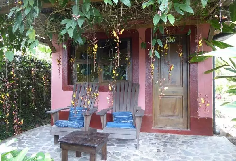 La Iguana Perdida   Hostel