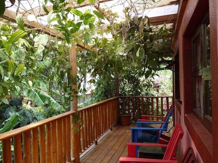 La Iguana Perdida Hostel