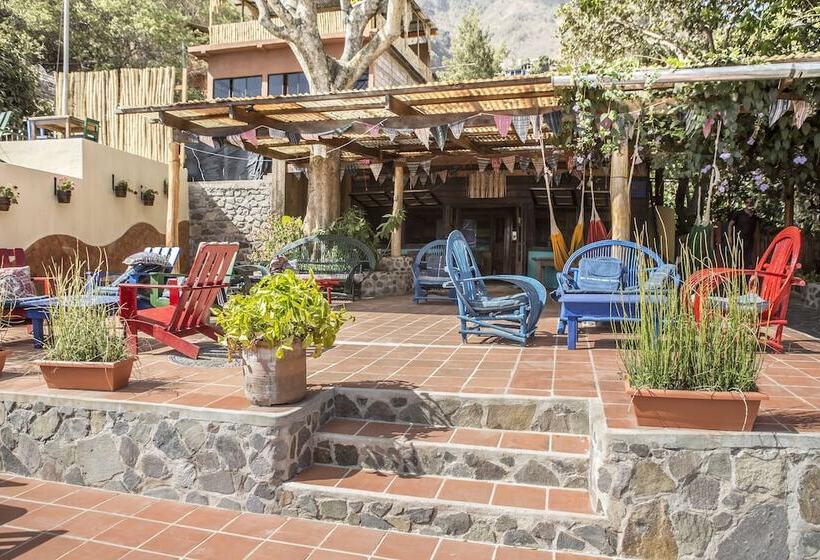 La Iguana Perdida Hostel