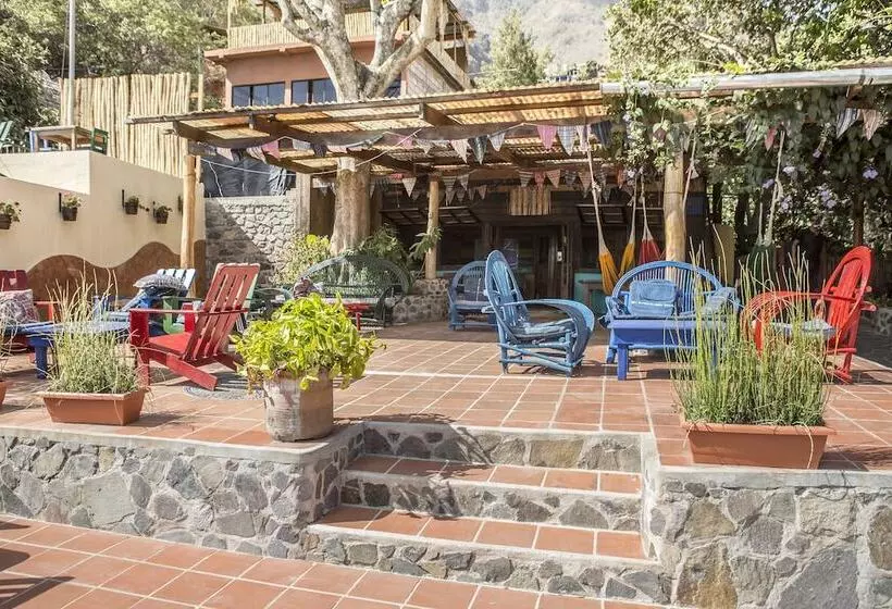 La Iguana Perdida   Hostel