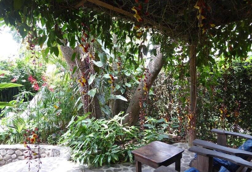 La Iguana Perdida Hostel