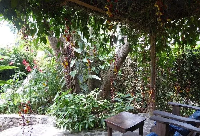 La Iguana Perdida   Hostel