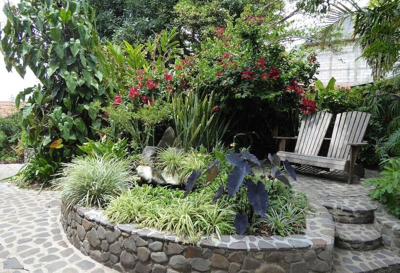 La Iguana Perdida Hostel