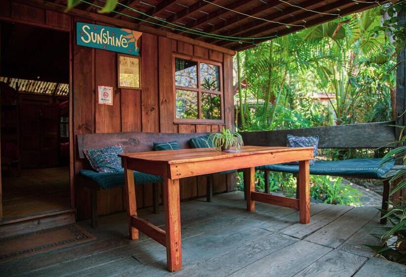 La Iguana Perdida Hostel