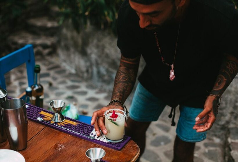 La Iguana Perdida Hostel