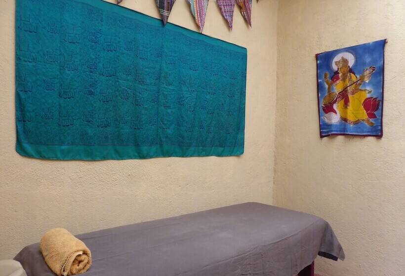 La Iguana Perdida Hostel