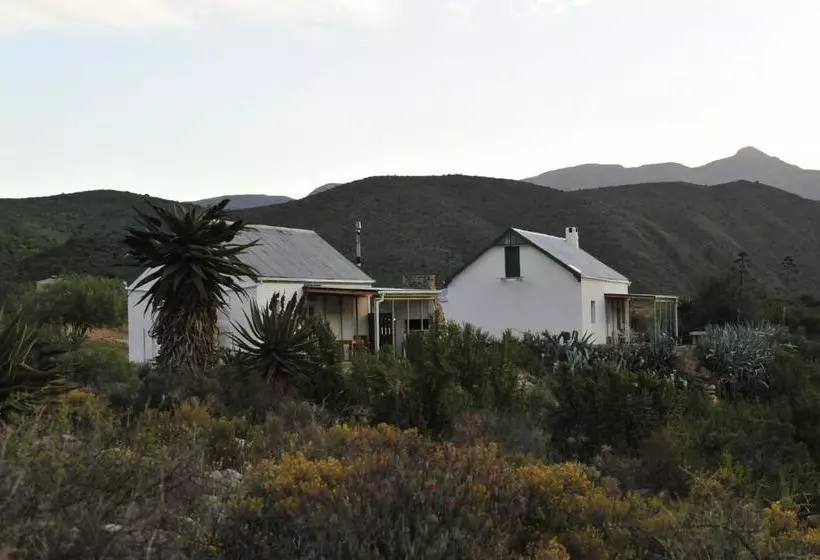 Matjiesvlei Guestfarm