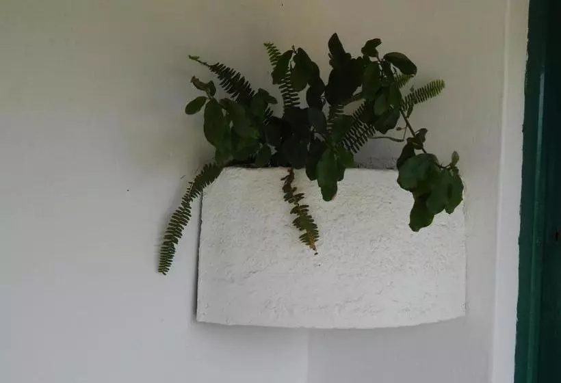 Matjiesvlei Guestfarm