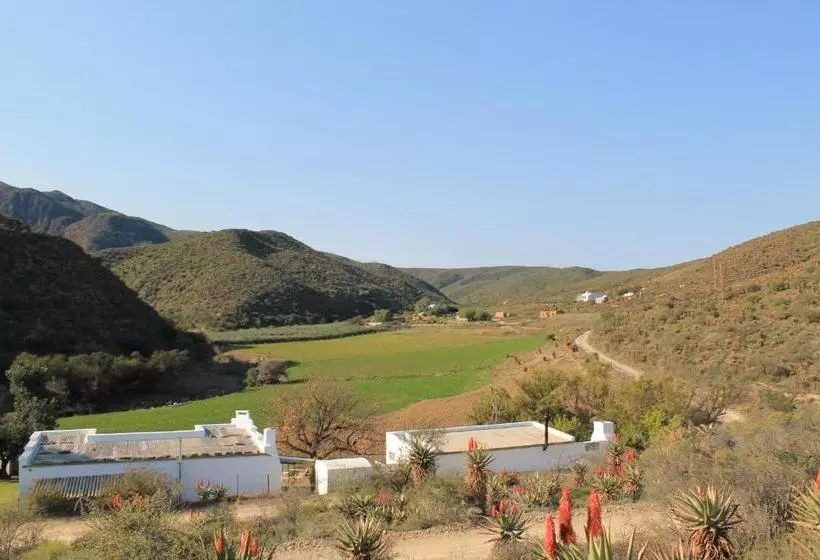 Matjiesvlei Guestfarm