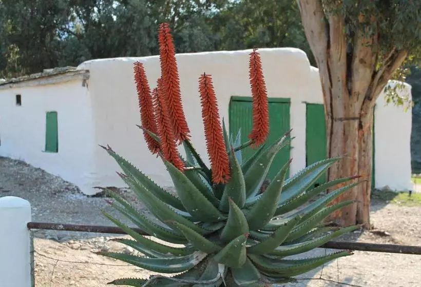 Matjiesvlei Guestfarm