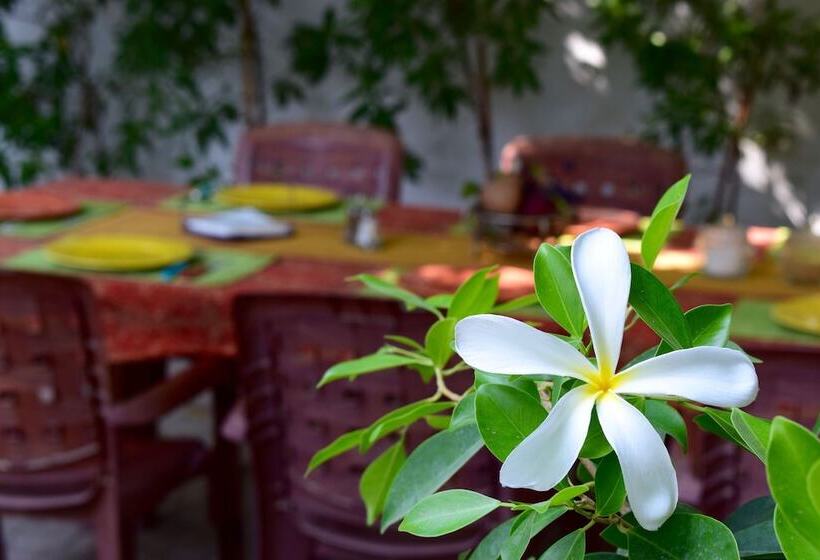 پانسیون Behlys Villa