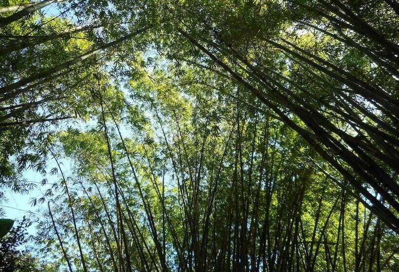 پانسیون Chippewa Village