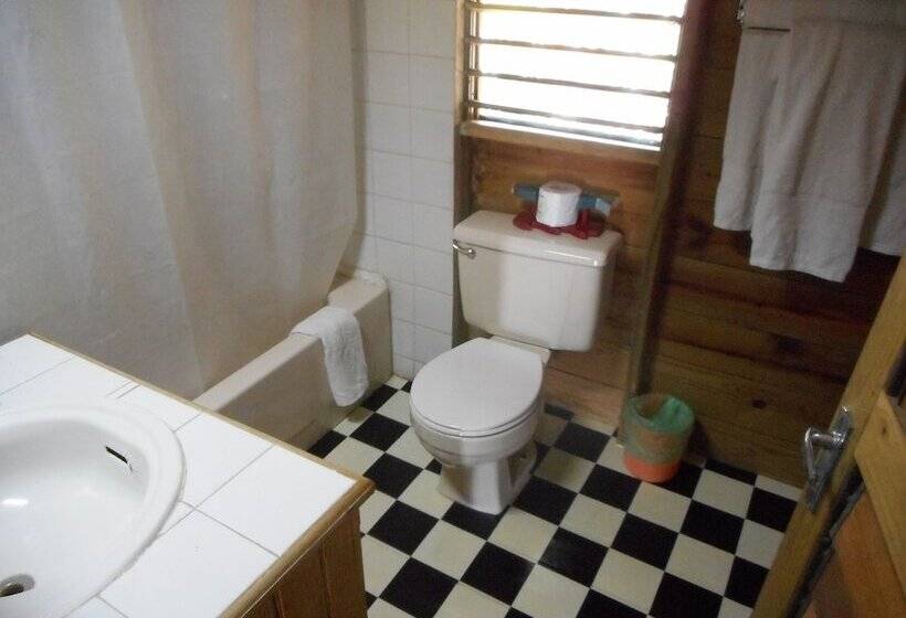 پانسیون Chippewa Village