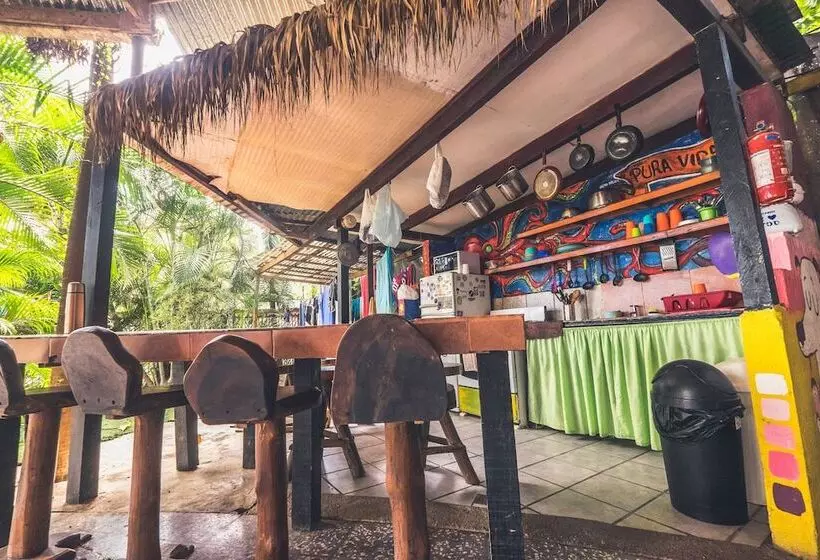 Pura Vida Hostel