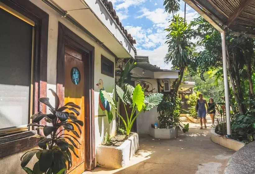 Pura Vida Hostel