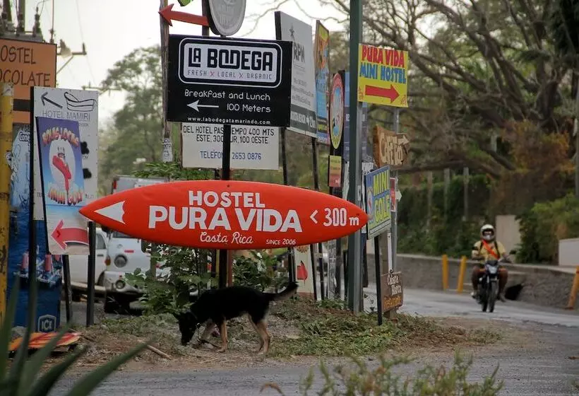 Pura Vida Hostel