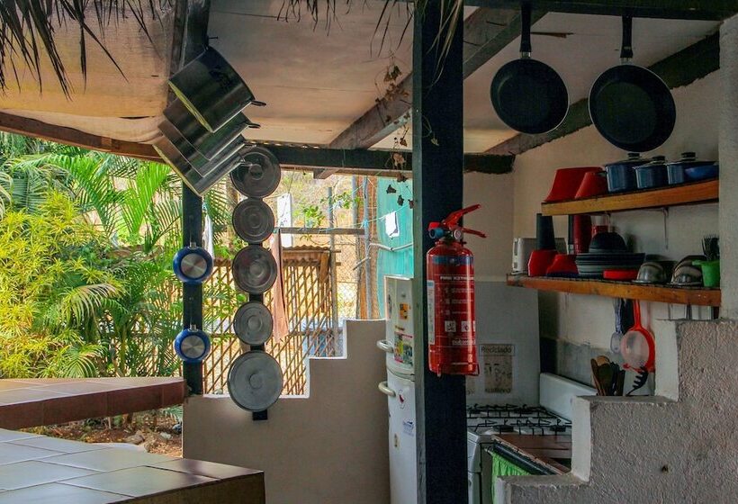 Pura Vida Hostel