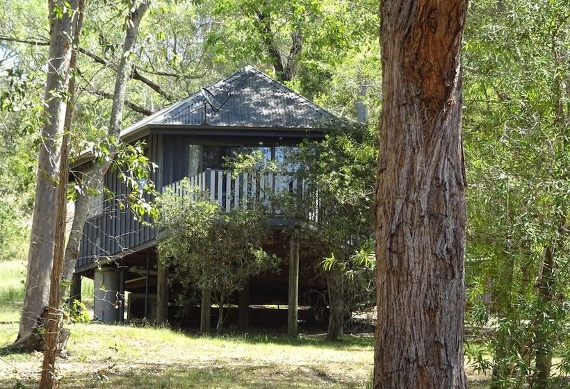 Barrington Tops Nest