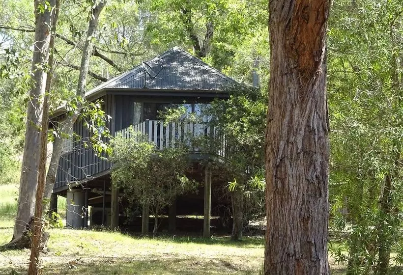 Barrington Tops Nest