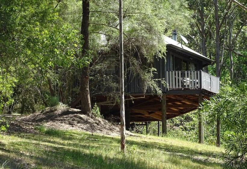 Barrington Tops Nest