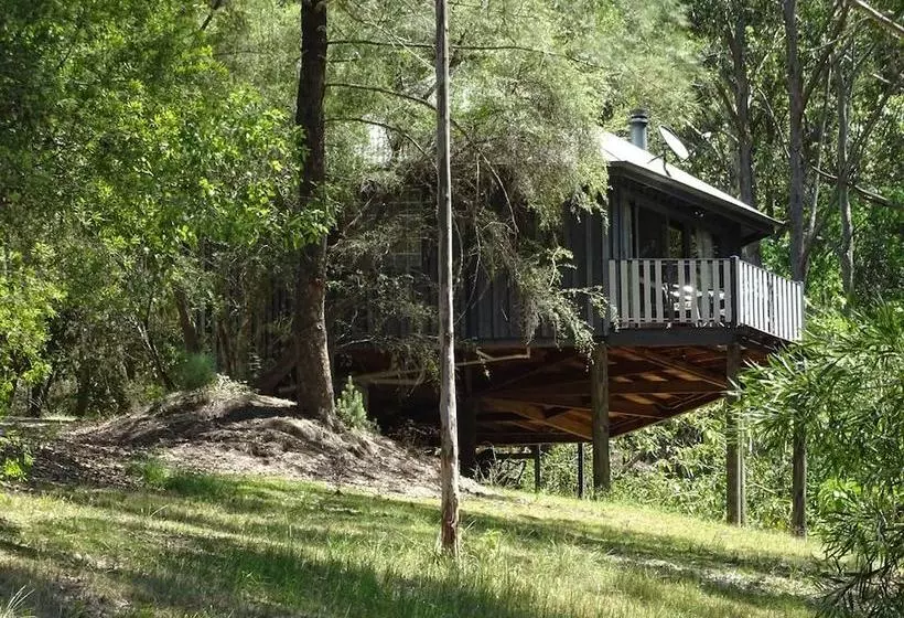 Barrington Tops Nest