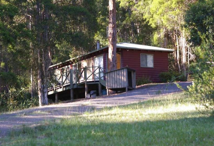Barrington Tops Nest